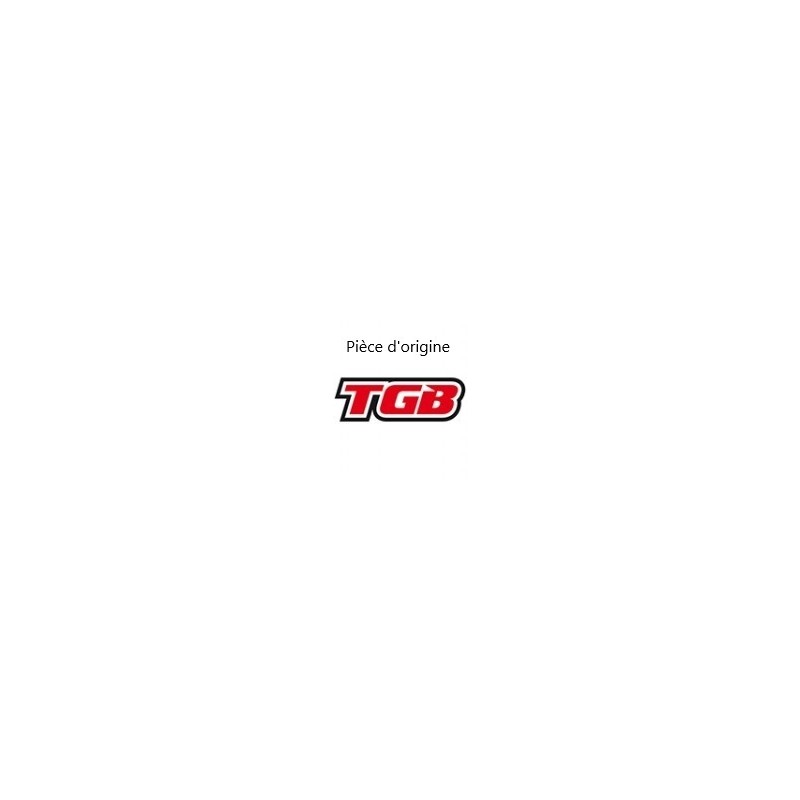 LOGO TGB BLEU